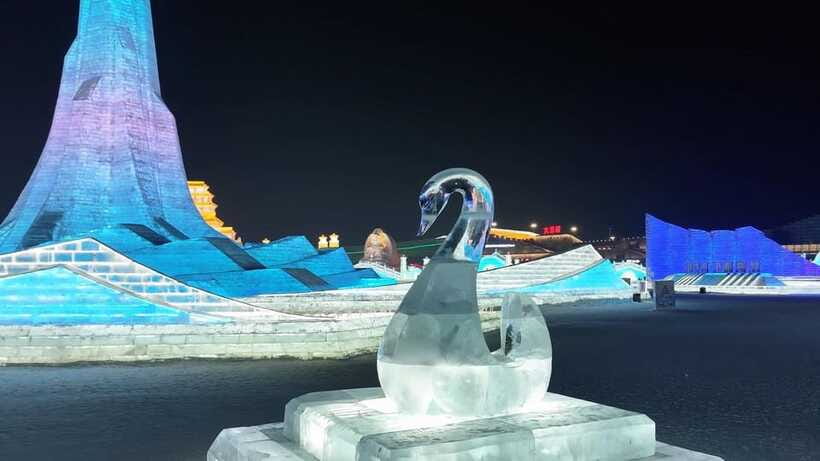 Harbin Ice and Snow Fairyland Private Day Tour - Price and value at $299 per person, what you are really paying for