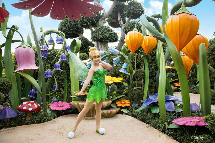 Hong Kong Disneyland Park Tickets - Food and drinks: plan the budget, especially if you want options