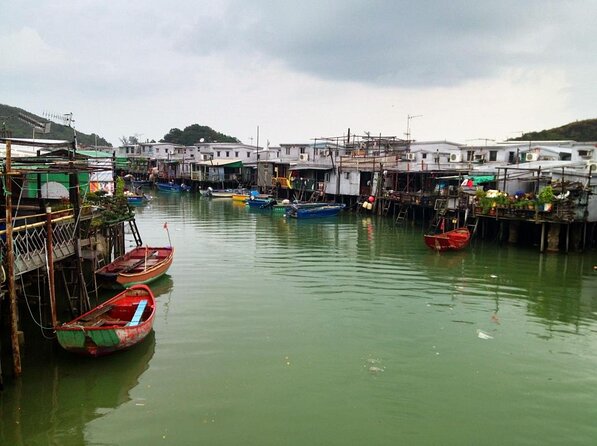 Hong Kong Dolphin Watch Tour - Key things I’d plan around before you go