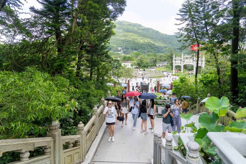 Hong Kong: Lantau VIP Priority Cable Car, Big Buddha & Tai O - Key Highlights You Will Actually Feel