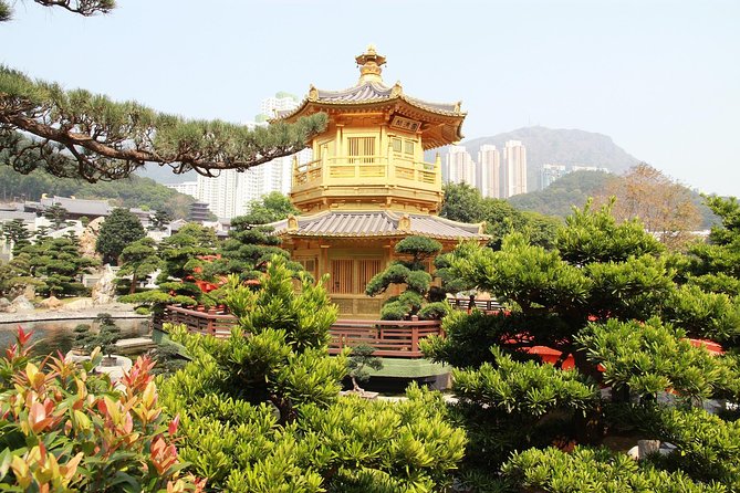 Hong Kong Layover Tour Private & Personalized with Local Guide - Who this tour suits best