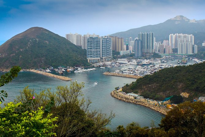 Hong Kong Like a Local: Private & Personalized Experience 2-6 hrs - Neon street energy: food stalls, fortune tellers, and dumpling hunting