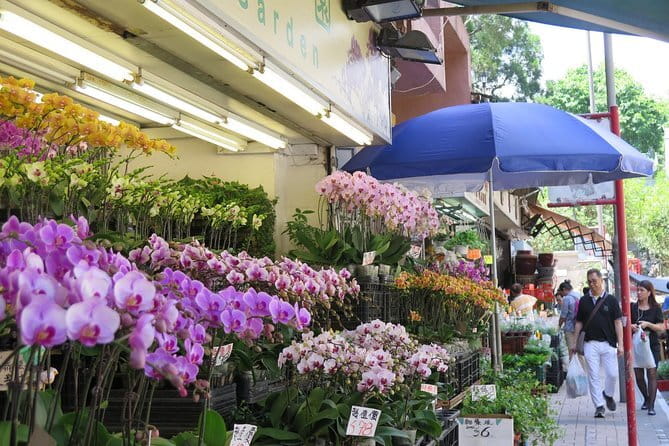 Hong Kong Private Shore Excursion 4/6hrs (with car - MPV) - Ladies Market, bird cages on Yuen Po Street, and Flower Market Road