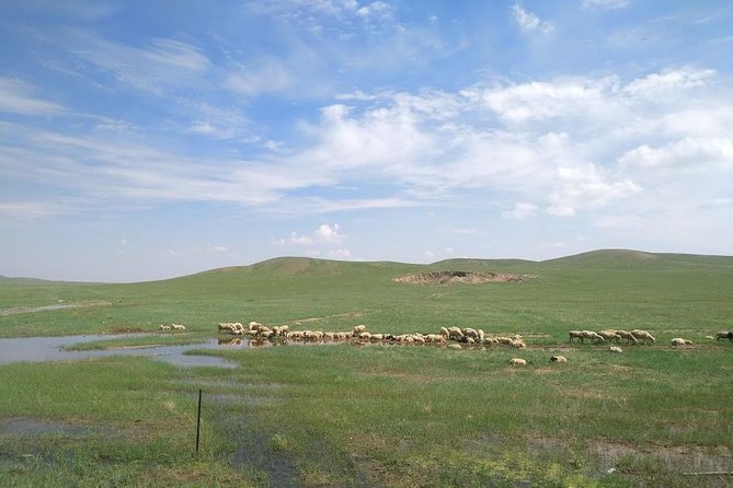 Huhhot 4D3N Inner Mongolia Grassland and desert nature tours - Private pickup from Hohhot and how the days actually run