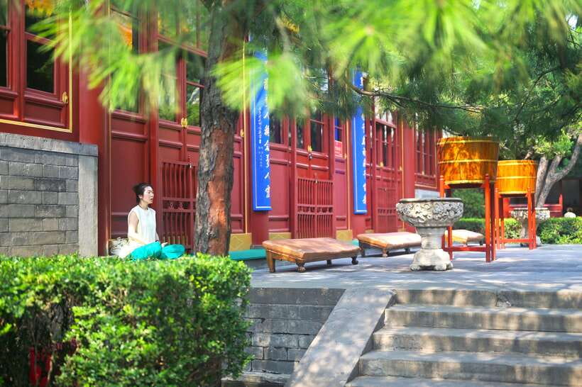 Hutong Walking Tour: Discover Real Beijing without Crowds - Miaoying Temple: one of the calmer stops in the middle of the city