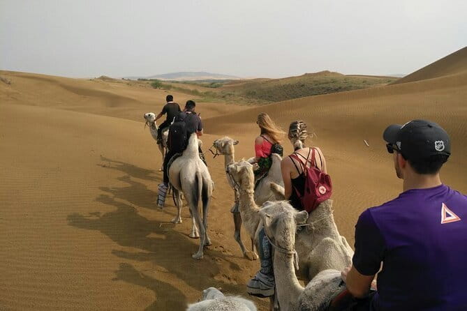 Inner Mongolia Hohhot 1Day Kubuqi Desert (Whistling Dune Bay)Tour - Kubuqi Desert (Ordos City): Sand Time Plus Optional Big-Name Activities