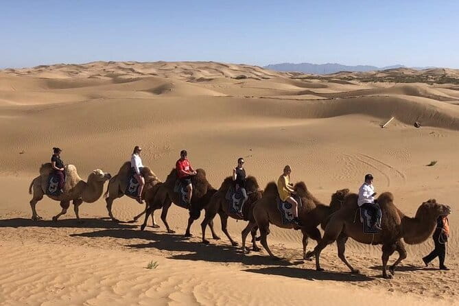 Inner Mongolia Hohhot 1Day Kubuqi Desert (Whistling Dune Bay)Tour - Should You Book This Kubuqi and Whistling Dune Bay Tour?