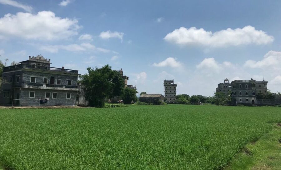 Kaiping Private Day Tour From Guangzhou - Private guide in English: more meaning, less confusion