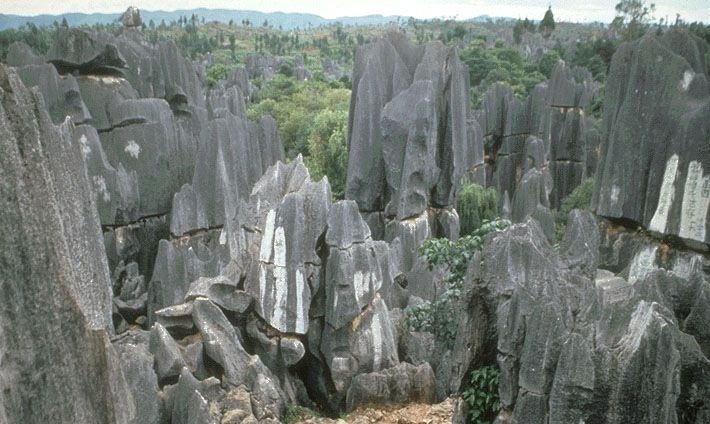 Kunming: Stone Forest Private Day Tour - Entering Yunnan Stone Forest Geological Park, Then Getting Oriented