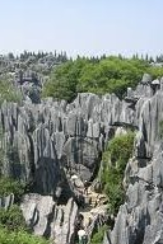 Kunming: Stone Forest Private Day Tour - How Private Pickup From Kunming Changes Your Day