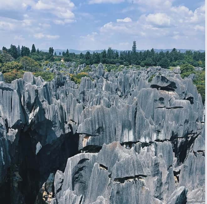Kunming: Stone Forest, Roast Duck Lunch and City Tour - Why This Kunming Day Feels More Like a Real Plan