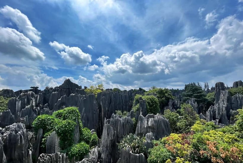 Kunming: Stone Forest, Roast Duck Lunch and City Tour - The Sani and Yi Connection, What Makes the Rocks Feel Personal