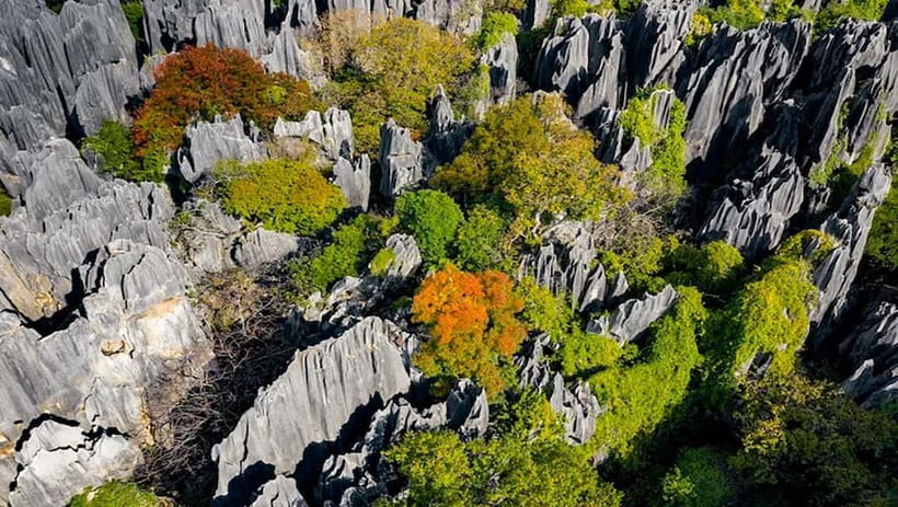 Kunming: Stone Forest, Roast Duck Lunch and City Tour - Lunch in Yiliang, Famous Roast Duck and the Real Logistics