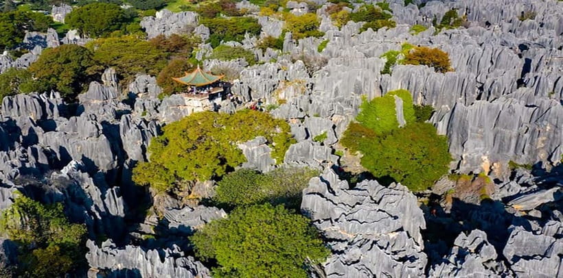 Kunming: Stone Forest, Roast Duck Lunch and City Tour - Your Choice After Lunch: Kunming Old Town or Views and Culture