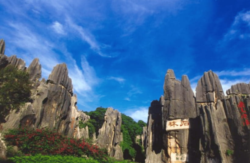 KunmingStone Forest Private Tour:Scenic Walks+Guide Insights - Entering Yunnan Stone Forest Geological Park With Less Fuss