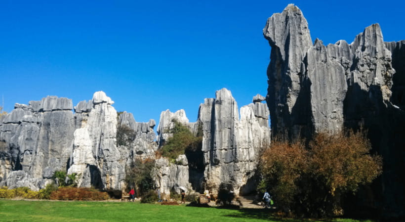 KunmingStone Forest Private Tour:Scenic Walks+Guide Insights - Should You Book This Kunming Stone Forest Private Tour?