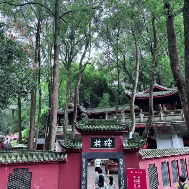 Leshan Giant Buddha Tour: Discover Ancient Stone Masterpiece - Should You Book This Leshan Giant Buddha Tour?