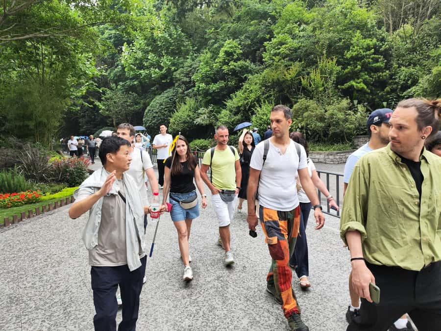 Leshan Grand Buddha Scenic Area and Panda Park Day Tour - The Drive to Leshan: Long, Manageable, and Worth It