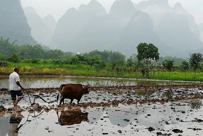 Li River Cruise with bamboo Rafting & Xianggong Hill Private Tour - The Small Logistics That Matter More Than You Think