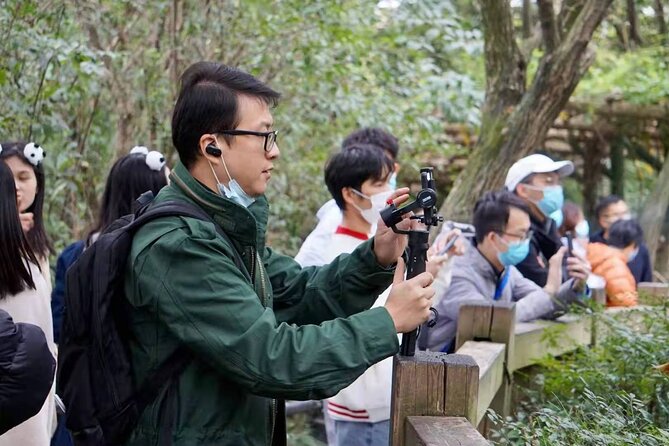 LIVE Streaming: Meet Pandas at Chengdu Research Base of Giant Panda Breeding - Four panda zones during the live stream, and what each one teaches you