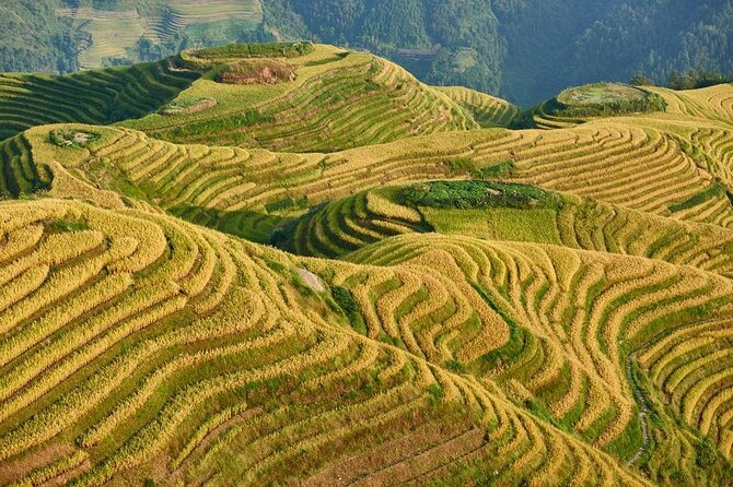Longji Rice Terraces and Minority Village Day Tour - Key Things That Make This Tour Worth Your Time
