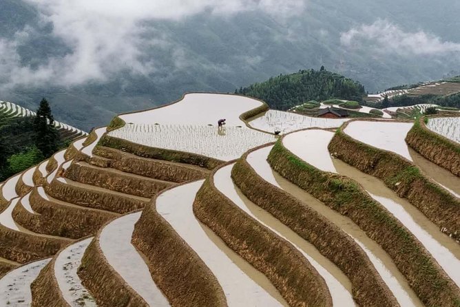 Longji Rice Terraces and Minority Village Day Tour - Small Tips That Make the Terrace Day Much Easier