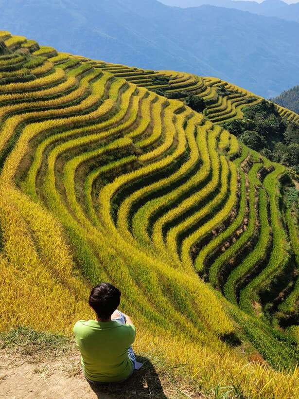 Longji Rice Terraces: Full-Day Private Tour from Guilin - Longji Terraces: Walking, Timing, and How to Prepare
