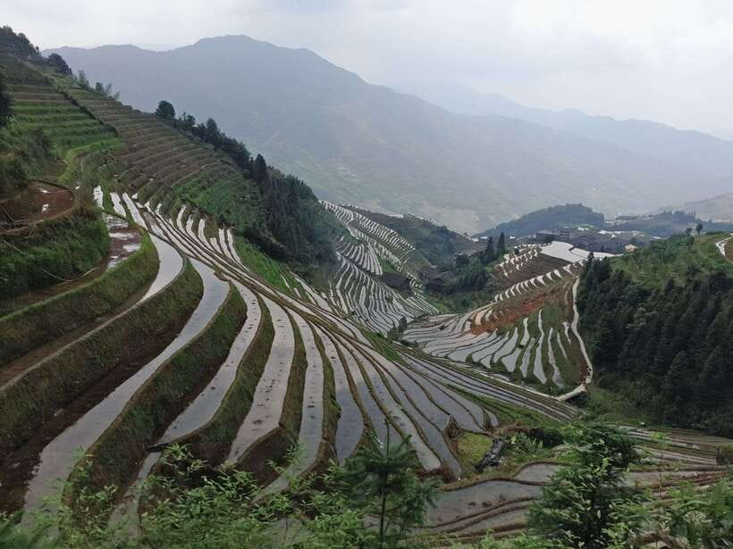 Longji Rice Terraces: Full-Day Private Tour from Guilin - Getting There From Guilin or Yangshuo, and Why the Drive Counts