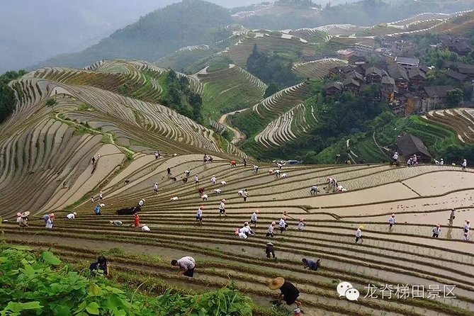 Longji rice terraces & minority villages private day tour - How the PingAn electric car can change your day