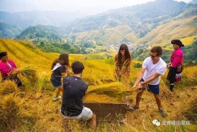Longji rice terraces & minority villages private day tour