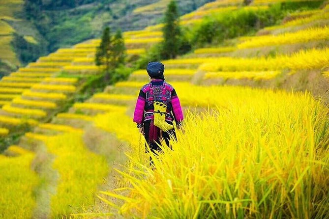 Longji rice terraces & minority villages private day tour - Walking time, viewpoints, and why pace matters on steep ground