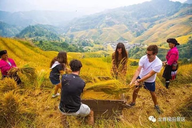 Longji rice terraces & minority villages private day tour - The 8:30am pickup and the mountain drive to Longsheng
