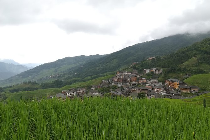 Longji Rice Terraces with Minority Village Private Day Tour - Food on the route: what to expect and how the guide can help
