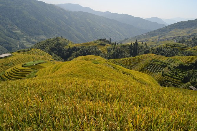 Longji Rice Terraces with Minority Village Private Day Tour - Getting into the terraces: tickets and first impressions at Longji