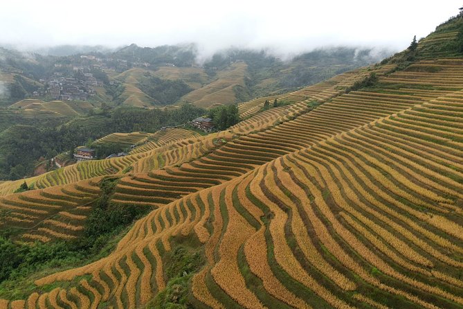 Longji Rice Terraces with the Dazhai Cable Car Private Day Tour - Longji’s Dragon’s Backbone: what you’re really paying for