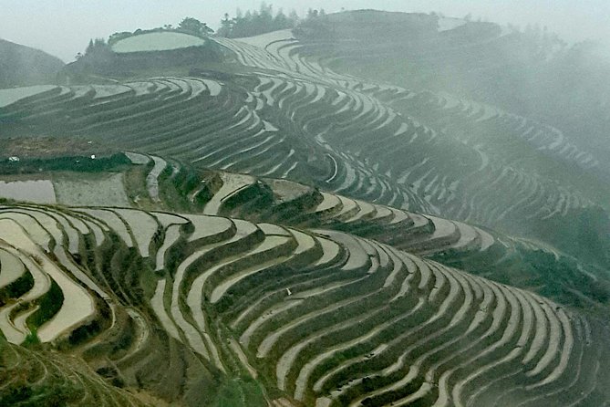 Longji Rice Terraces with the Dazhai Cable Car Private Day Tour - Dazhai village and cultural context you might miss on your own