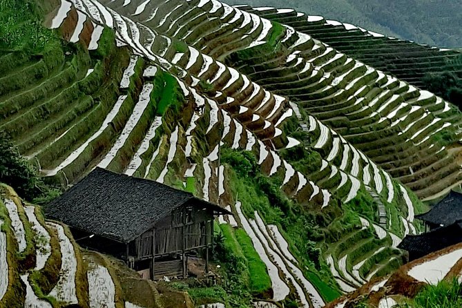 Longji Rice Terraces with the Dazhai Cable Car Private Day Tour - Jinzhu Zhuang Village: a smaller scale, more human stop