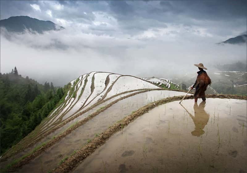 Longsheng Ethnic Minority & Rice Terraces Full-Day Tour - Key Things You’ll Notice on This Longsheng Tour