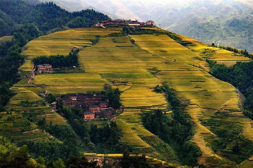 Longsheng Ethnic Minority & Rice Terraces Full-Day Tour - The 3-Hour Terrace Guided Walk: Enjoy It, Manage It