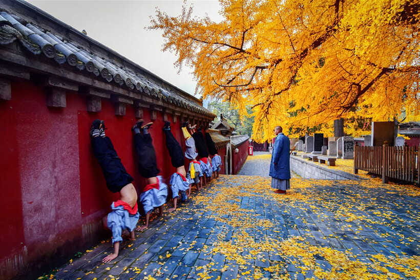 Louyang Day Tour from Xian: Longmen Grottoes, Shaolin Temple - Should You Book This Tour?