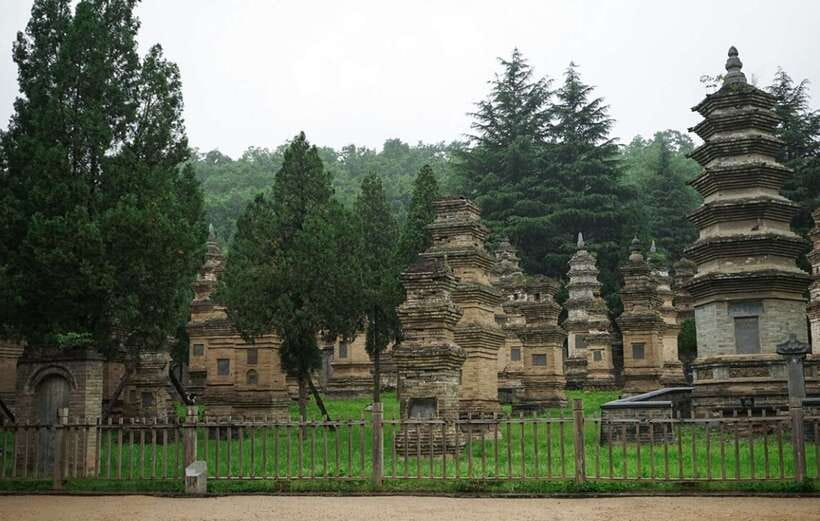 Louyang Day Tour from Xian: Longmen Grottoes, Shaolin Temple - Longmen Grottoes, 100,000 Statues by the Yi River