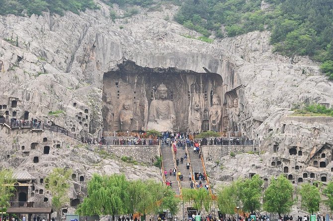 Luoyang Private Day tour to Longmen Grottoes and Shaolin temple - A private Luoyang day that blends UNESCO caves with Shaolin spectacle