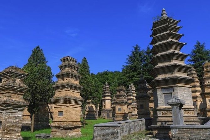 Luoyang Private Day tour to Longmen Grottoes and Shaolin temple - Longmen Grottoes in 3 hours, what to focus on first