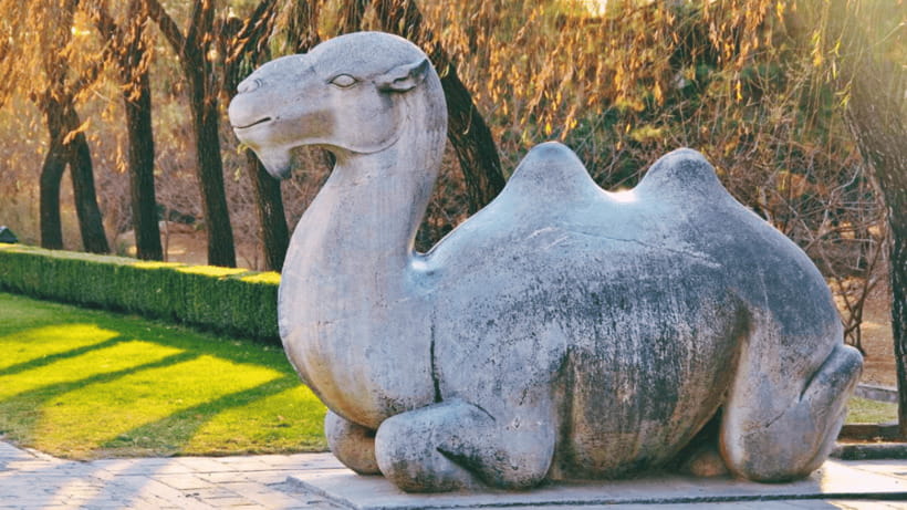 Ming Tombs Admission Ticket - Entering smoothly: QR code access, but double check everything