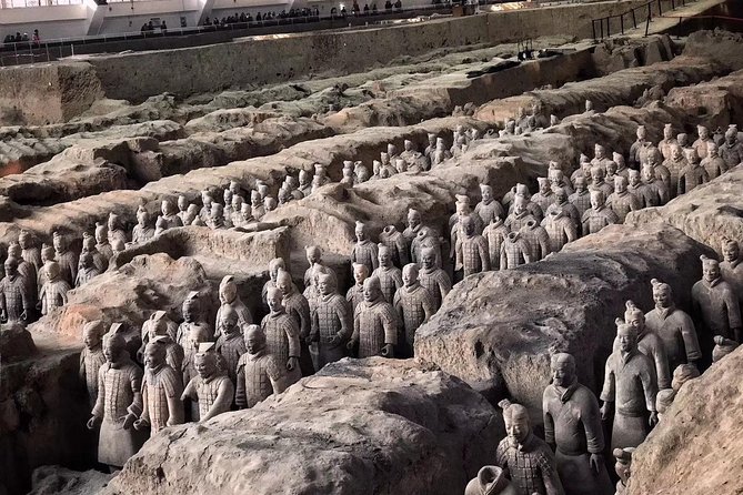 Mini Group: Daily VIP Xian Terracotta Warriors and City Discovery Tour - Terracotta Warriors, City Wall, and Muslim Quarter in one smooth day