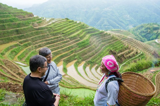 Mini Group: Longji Rice Terraced Fields and Minority Villages Tour - Small-Group Touring That Actually Feels Like Touring