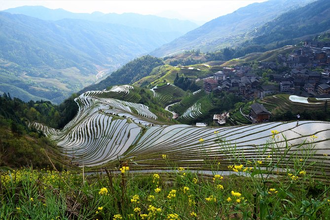 Mini Group: Longji Rice Terraced Fields and Minority Villages Tour - Food Stops, Bamboo Rice, and Staying Satisfied Without Lunch Included