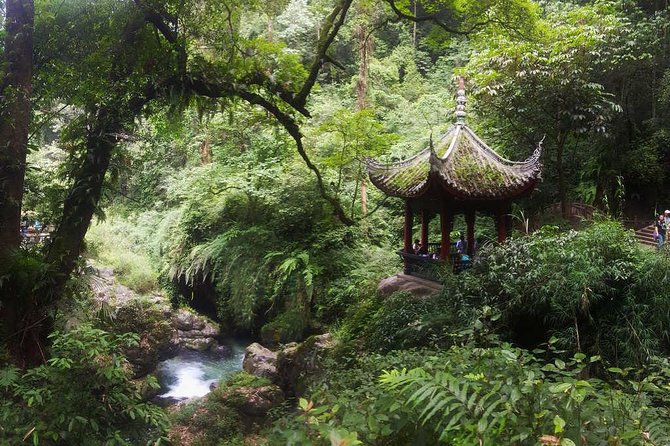 Mt Emei and Giant Buddha 2 Days Tour - Wannian Temple morning: gentle climbing with a clear purpose