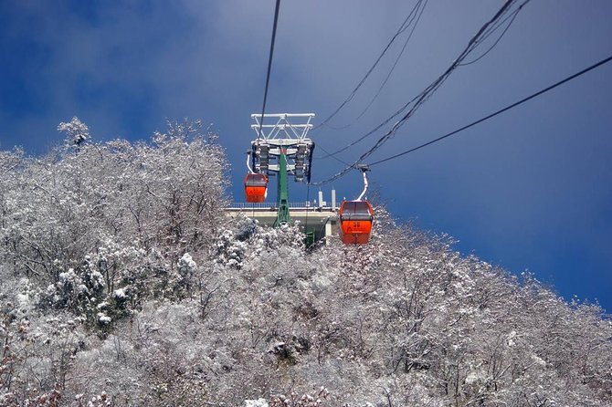 Mutianyu Great Wall&Summer Palace Excursion:Group/Private Options - Entering Beijing’s great-wall day with hotel pickup