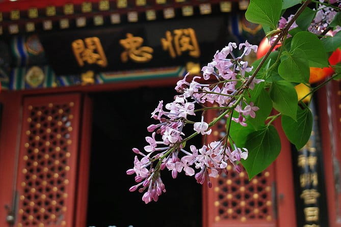 Mutianyu GreatWall BusTour - Food, Breaks, and the Exclusive Rest Area Reset